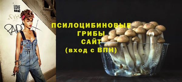 тгк Алексин