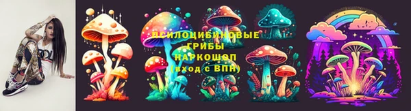 соль курить ск Алексеевка