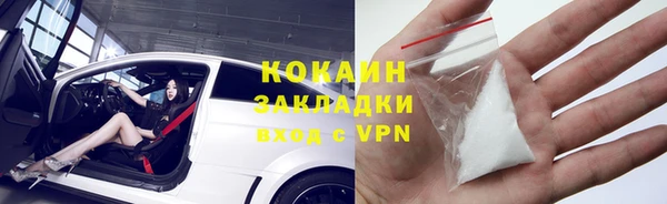 тгк Алексин