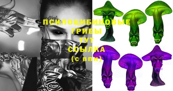 тгк Алексин