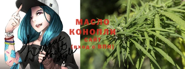 тгк Алексин